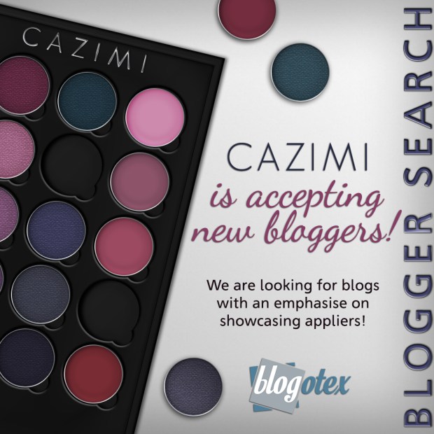 2018 Summer Blogger Search