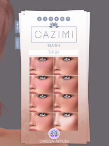 c4206652ed67aa25502fee899c813005